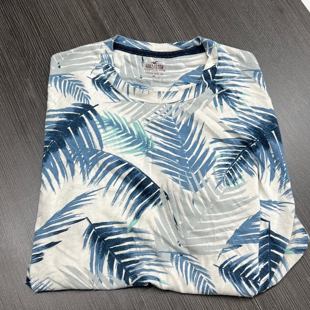 Hollister t shirt